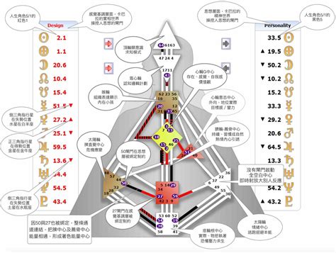 人類圖解說|人類圖是什麼？一文教你分析＋解讀4大類型及12種人。